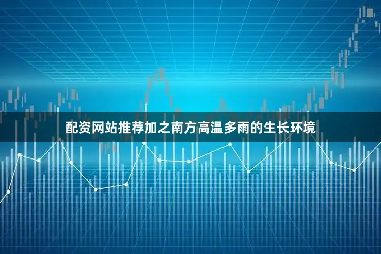 配资网站推荐加之南方高温多雨的生长环境
